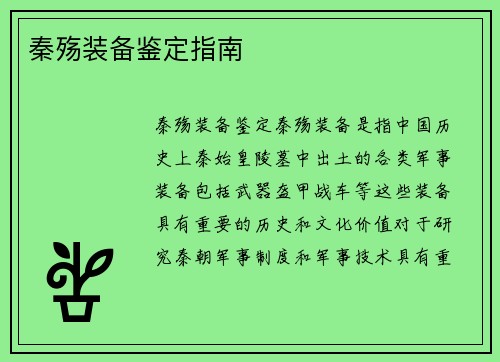 秦殇装备鉴定指南